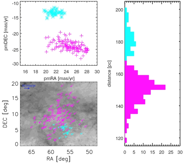 Location, proper motion and distance distribution of the two new stellar associations (cyan and magenta).