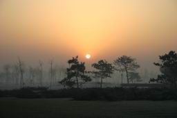 bcc01.jpg