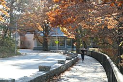 0712usa002.jpg