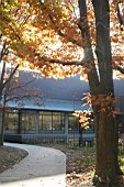 0712usa003.jpg