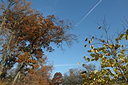 0712usa004.jpg