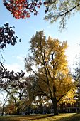 0712usa012.jpg