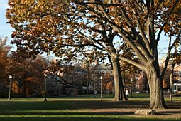0712usa016.jpg