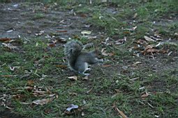 0712usa017.jpg