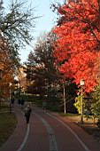 0712usa018.jpg