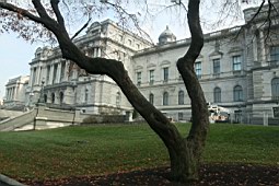 0712usa048.jpg